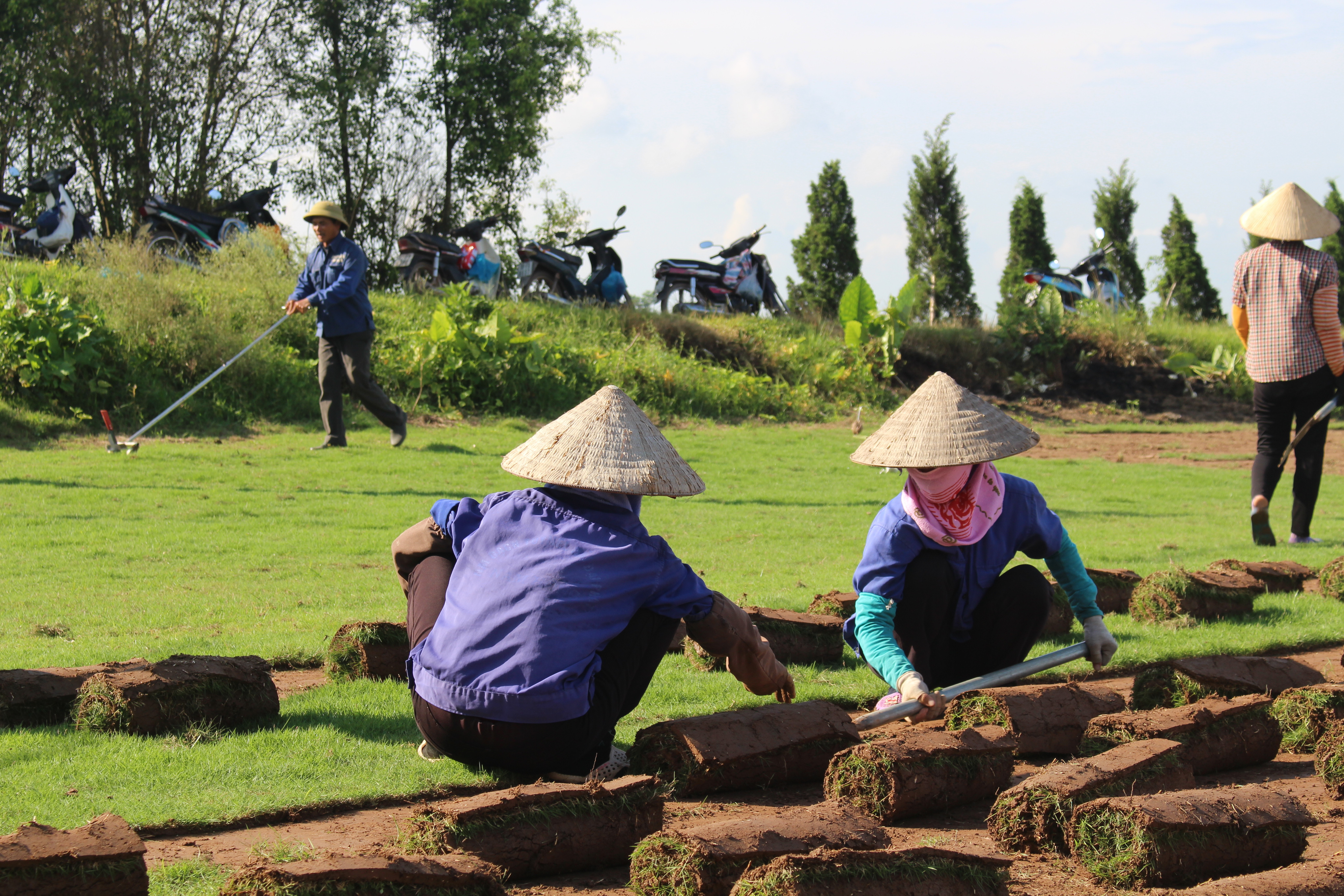 Dụng cụ thu hoạch cỏ đơn giản chỉ gồm thuổng, dao cắt v&agrave; d&acirc;y buộc