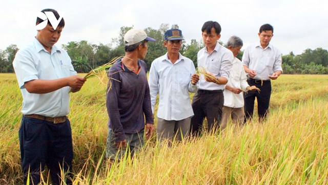 Ch&iacute;nh quyền địa phương v&agrave; người d&acirc;n v&ugrave;ng ĐBSCL đ&atilde; thay đổi tư duy sản xuất. &nbsp;