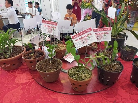 C&aacute;c t&aacute;c phẩm đấu gi&aacute; được c&aacute;c nh&agrave; vườn v&agrave; CLB tặng trong buổi Off line lần 2