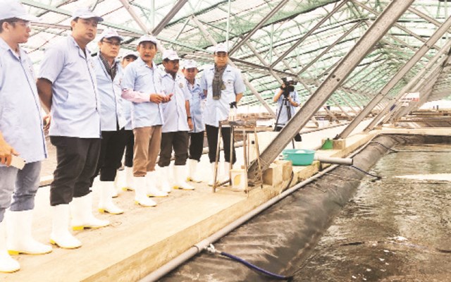 Đo&agrave;n c&ocirc;ng t&aacute;c Đại học Quốc gia TP.Hồ Ch&iacute; Minh trong chuyến c&ocirc;ng t&aacute;c chuyển giao kỹ thuật nu&ocirc;i thủy sản tại tỉnh Bạc Li&ecirc;u. &nbsp;