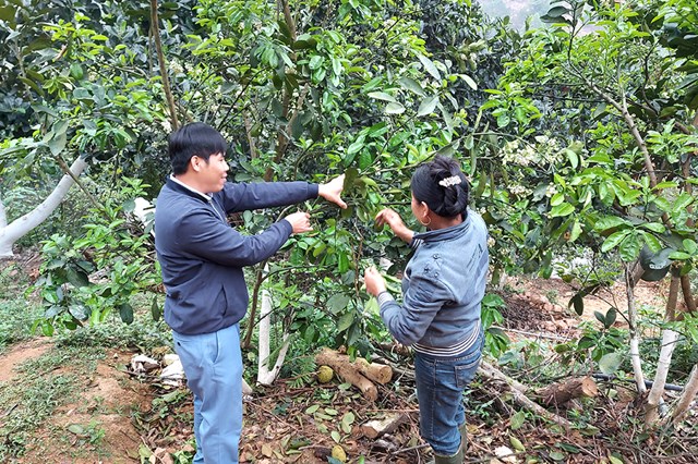 Đồng ch&iacute; Nguyễn Quang Thế (b&ecirc;n tr&aacute;i) - B&iacute; thư chi bộ, Trưởng khu 2 c&oacute; kinh nghiệm 12 năm l&agrave;m kinh tế cho thu nhập cao