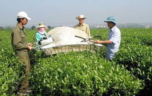 Li&ecirc;n kết sản xuất, ti&ecirc;u thụ sản phẩm th&ocirc;ng qua HTX, THT... tại huyện L&acirc;m H&agrave; (L&acirc;m Đồng)