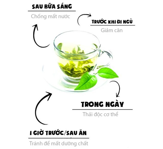 Các thời điểm nên uống trà xanh để tận dụng được các đặc tính tốt cho sức khỏe của trà xanh. Ảnh: India Spot