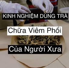 Kinh nghiệm dùng trà chữa viêm phổi của người xưa