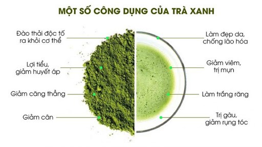 Trẻ m&#227;i kh&#244;ng gi&#224; nhờ v&#224;o t&#225;c dụng chống l&#227;o h&#243;a từ tr&#224; xanh - Ảnh 1