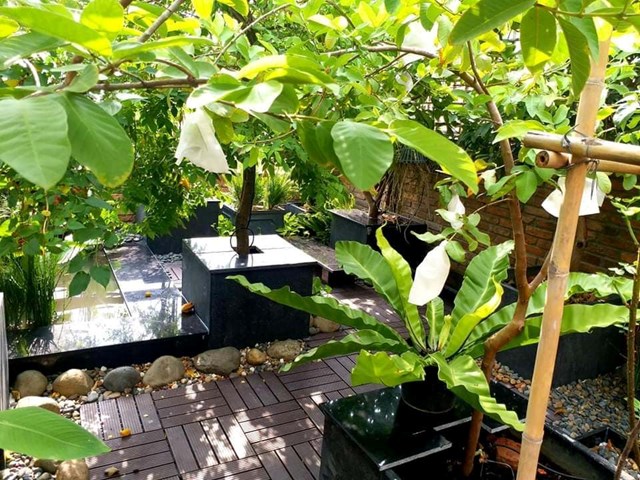 Tổng diện t&iacute;ch khu vườn l&agrave; 72 m2, được chia l&agrave;m 2 khu. Một khu trồng hoa, 1 khu trồng c&acirc;y ăn tr&aacute;i v&agrave; hồ c&aacute;.