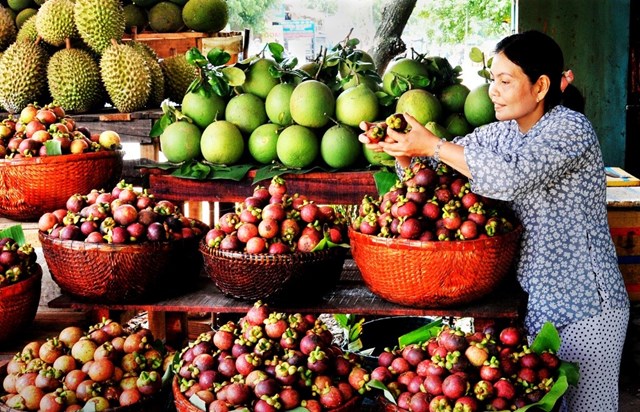 Người tiêu dùng lựa chọn mua trái cây chất lượng, giá cả phù hợp để bảo vệ quyền lợi của chính mình