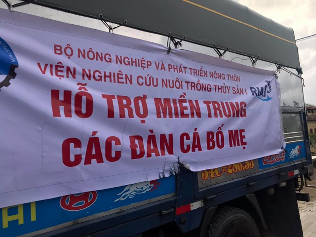 Bộ N&#244;ng nghiệp v&#224; Ph&#225;t triển n&#244;ng th&#244;n: Triển khai hoạt động ph&#242;ng chống, kh&#244;i phục thi&#234;n tai&#160; - Ảnh 7