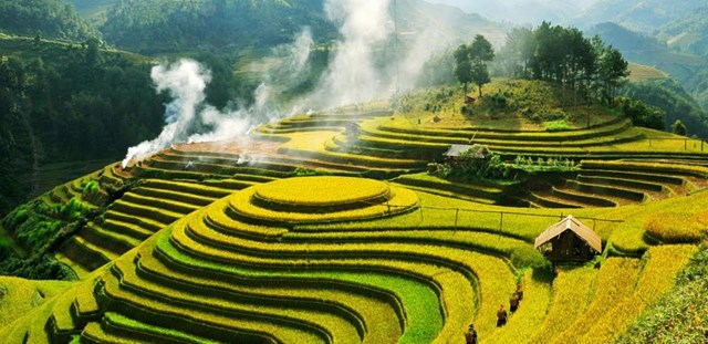 Ruộng bậc thang l&uacute;a ch&iacute;n v&agrave;ng