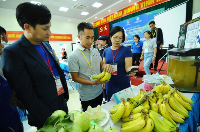 Trưng b&agrave;y sản phẩm n&ocirc;ng nghiệp của c&aacute;c m&ocirc; h&igrave;nh kinh tế khởi nghiệp đổi mới s&aacute;ng tạo, của c&aacute;c doanh nghiệp do thanh ni&ecirc;n l&agrave;m chủ.&nbsp;Ảnh minh họa