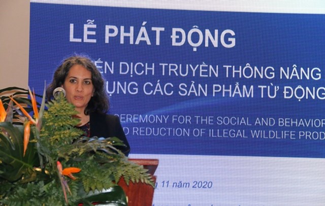 B&agrave; Ann Marie Yastishock, Ph&oacute; Gi&aacute;m đốc&nbsp;USAID tại Việt Nam