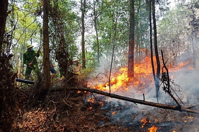 Ch&aacute;y rừng ở Hương Sơn năm 2019