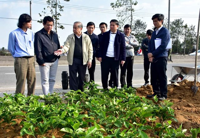 Thừa Thi&#234;n Huế &quot;kho&#225;c &#225;o mới&quot; chỉnh trang đ&#244; thị đ&#243;n xu&#226;n T&#226;n Sửu - Ảnh 1