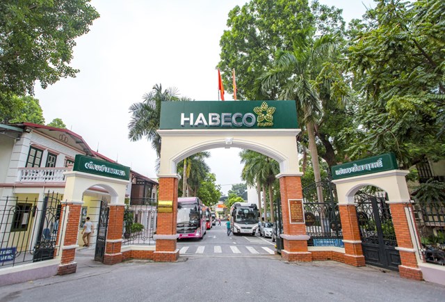 Habeco b&#225;o l&#227;i 234 tỷ đồng trong qu&#237; IV - Ảnh 1