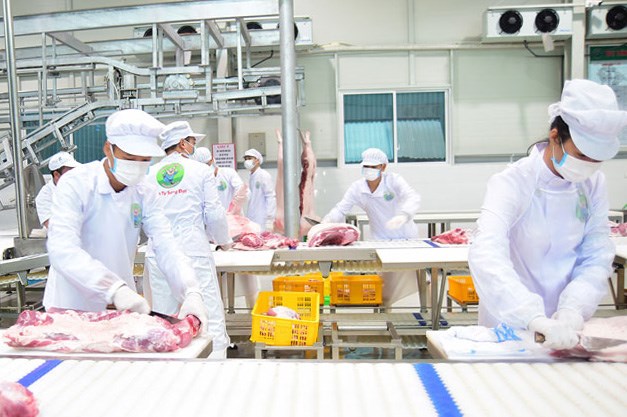 Gi&aacute; thịt lợn nếu tiếp tục ở mức cao sẽ g&acirc;y &aacute;p lực lớn đối với chỉ số lạm ph&aacute;t năm 2020. Trong ảnh: Sản xuất thịt lợn sạch tại C&ocirc;ng ty cổ phần Thực phẩm Song Đạt (huyện Thanh Tr&igrave;), g&oacute;p phần tăng nguồn cung cho thị trường. Ảnh: Viết Th&agrave;nh