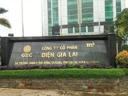 Điện Gia Lai: Kết quả kinh doanh qu&#237; II, Bi&#234;n lợi nhuận gộp tăng nhẹ - Ảnh 1