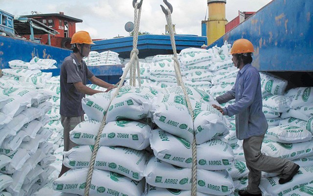 Gạo Việt xuất khẩu sang ch&acirc;u &Acirc;u cũng c&oacute; những t&iacute;n hiệu khả quan khi gi&aacute; gạo xuất khẩu của Việt Nam v&agrave;o thị trường EU đ&atilde; tăng phổ biến từ 80-200 USD/tấn