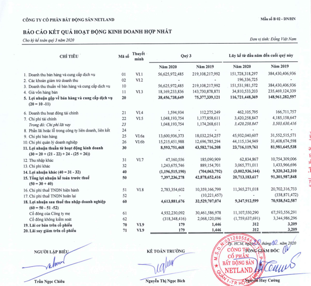 Kết quả kinh doanh của Netland sụt giảm (Nguồn: BCTC Netland)