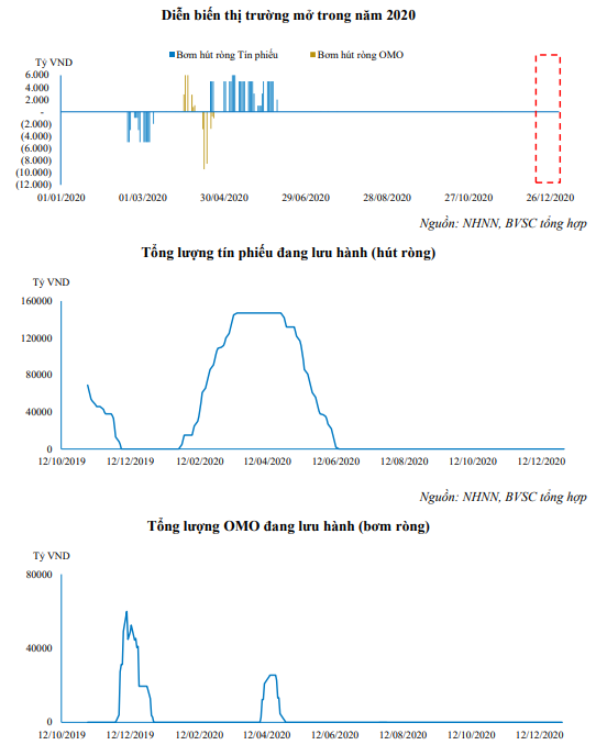 Nguồn: Báo cáo BVSC