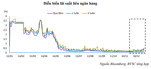 Nguồn: Báo cáo BVSC