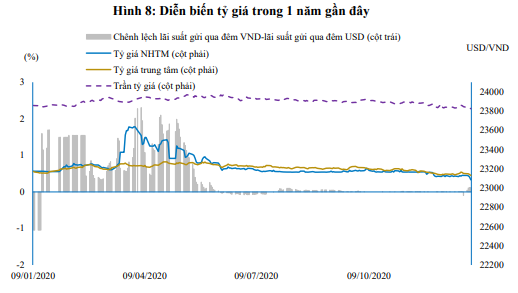 Nguồn: Báo cáo BVSC