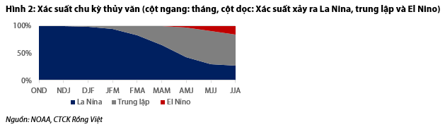 Nguồn: Báo cáo VDSC