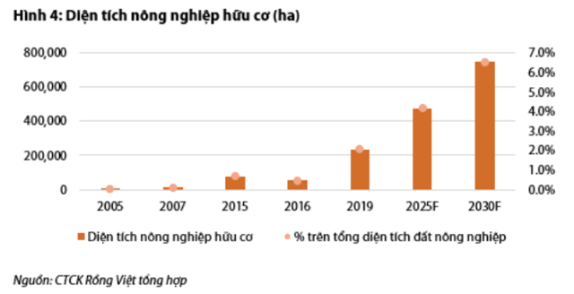 Nguồn: Báo cáo VDSC