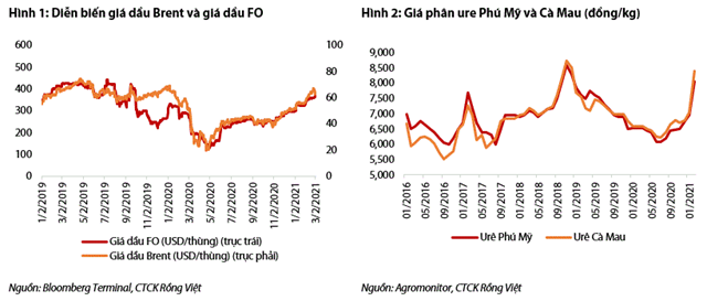 Nguồn: Báo cáo VDSC