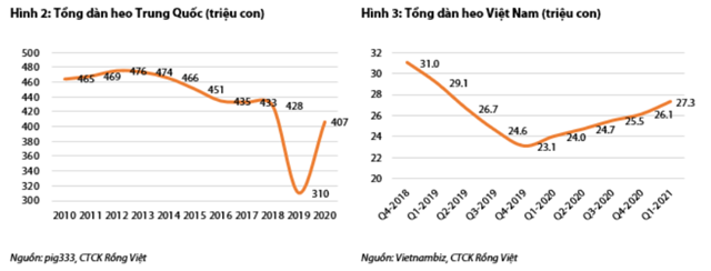 Nguồn: Báo cáo VDSC