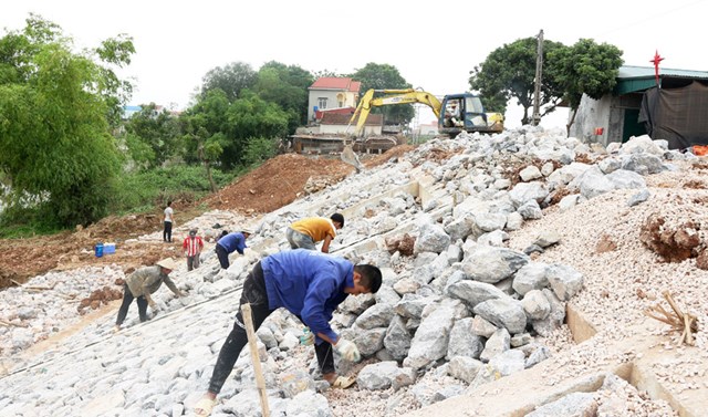 Nhà thầu thi công đẩy nhanh tiến độ hoàn thành công trình xử lý sự cố sạt lở đê sông Bùi, đoạn thôn 5, xã Quảng Bị (huyện Chương Mỹ).