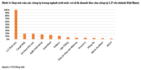 Nguồn: Báo cáo VDSC