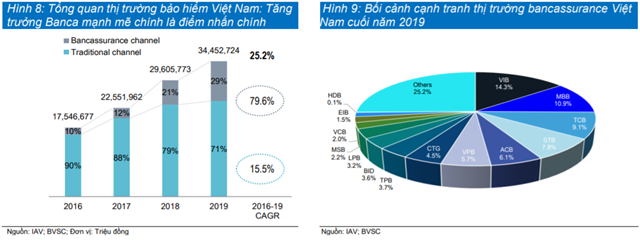 Nguồn: Báo cáo BVSC