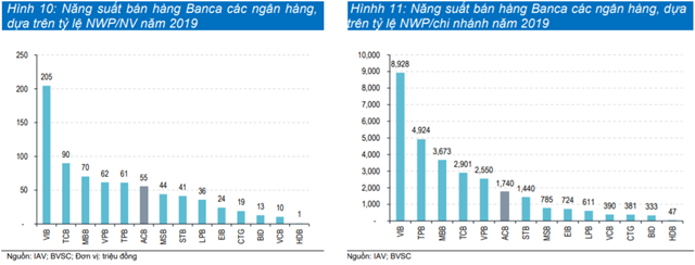 Nguồn: BVSC