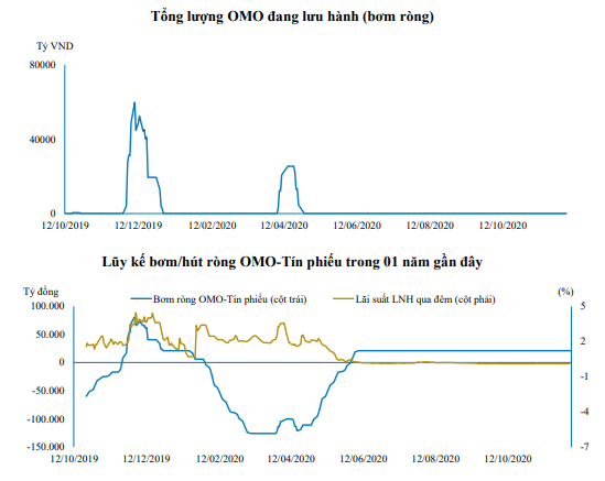 Nguồn: Báo cáo BVSC