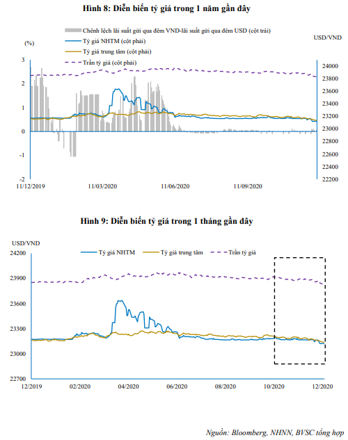 Nguồn: Báo cáo BVSC