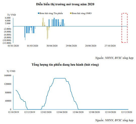 Nguồn: Báo cáo BVSC