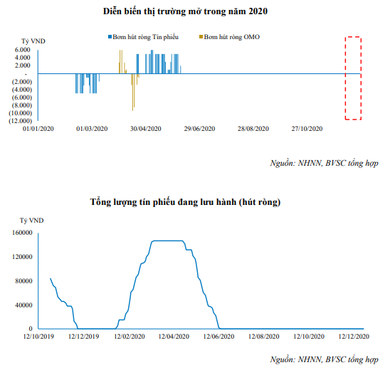 Nguồn: Báo cáo BVSC