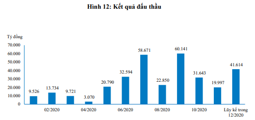 Nguồn: Báo cáo BVSC