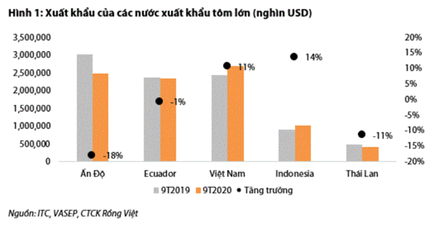 Nguồn: Báo cáo VDSC