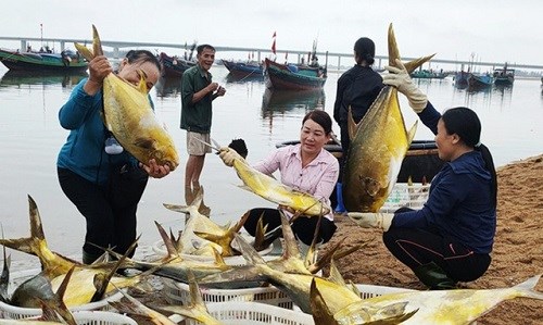 Chỉ sau v&agrave;i giờ số c&aacute; tr&ecirc;n đ&atilde; được tiểu thương thu mua hết.