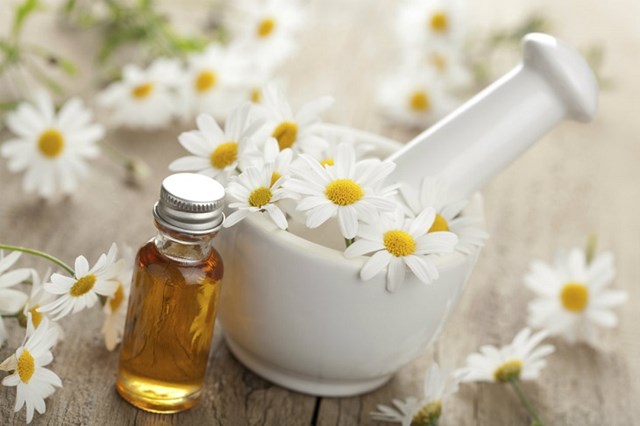 Dùng trà hoa cúc và mật ong trị mụn hiệu quả