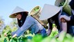 Giúp nông sản Việt chinh phục người tiêu dùng