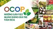 Chương trình OCOP: Động lực phát triển kinh tế nông thôn Việt Nam