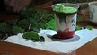Artisan Matcha Slow Bar - Thiên đường matcha đậm chất nghệ thuật 