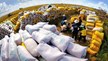 Xuất khẩu gạo sang Indonesia tăng mạnh