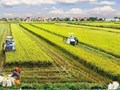  Nông nghiệp Việt Nam 2024: Vững vàng trụ đỡ, hướng đến phát triển bền vững