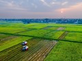 Nâng tầm nông nghiệp Việt: Từ "điểm sáng" đến "con đường mới"