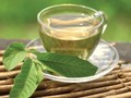 Bí quyết làm đẹp và chăm sóc cơ thể toàn diện từ thiên nhiên