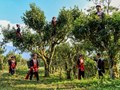  Ẩm thực Hà Giang - Bản hòa ca độc đáo giữa thiên nhiên và văn hóa