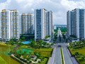 Căn hộ, đất nền hay nhà phố: Nên đầu tư loại hình nào?